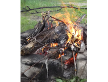 DSCF1385.JPG