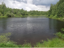 DSCF1370.JPG