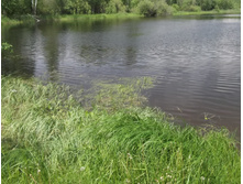 DSCF1371.JPG