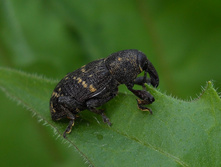DSCN6290.JPG