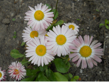 DSCN6291.JPG