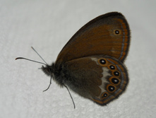 DSCN6302.JPG