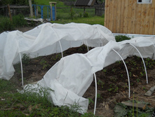 DSCN6285.JPG
