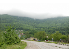 DSC_8110.jpg