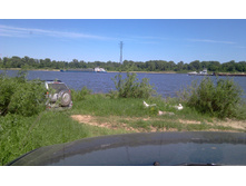 IMAG0361.jpg