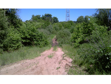IMAG0387.jpg
