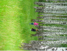 P1220119.jpg