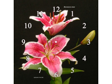 2828-70.jpg