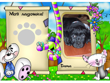 kinderyata_130788166827314542.jpg