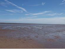 DSCF1619.jpg