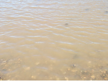 DSCF1631.jpg