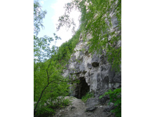 CIMG0951.JPG