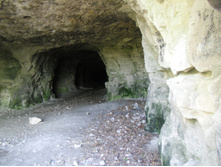 CIMG0931.JPG