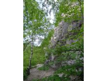 CIMG0946.JPG
