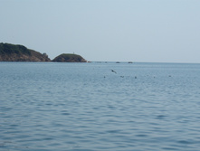DSCF0427.JPG