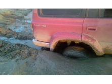 IMAG0416.jpg