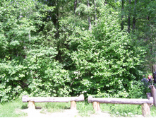 SSA43491.JPG