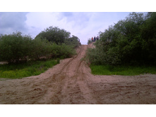 IMAG0564.jpg
