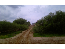 IMAG0569.jpg