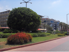 SDC12596.JPG