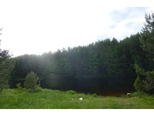 P1010167.JPG