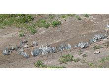 DSCN6536.JPG