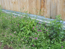 DSCN6545.JPG