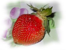 DSCN6551-1.jpg