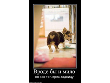 Demotivators_49.jpg