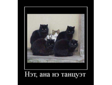 e5e740.jpg