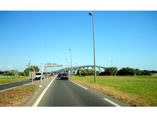 IMG_1479.jpg