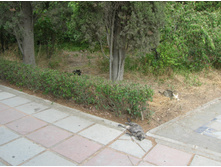 DSCN1610.JPG