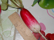 DSCN6584.JPG