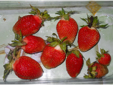 DSCN6619.JPG