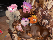 DSCN6633.JPG