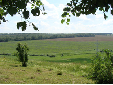 DSC05762.JPG