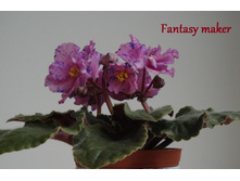 fantasy maker 1.JPG