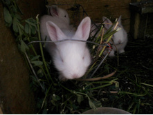 ����-0052.jpg