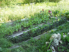 DSCN6685.JPG