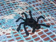 DSCN6486.JPG