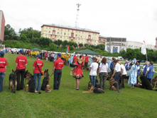 IMG_3324.JPG