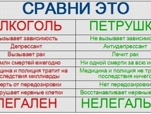 tn95.jpg
