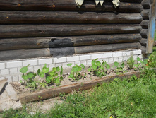DSCN6819-1.JPG