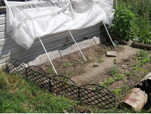 DSCN6822.JPG