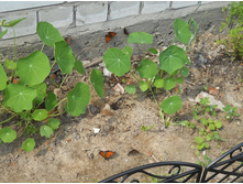 DSCN6878.JPG