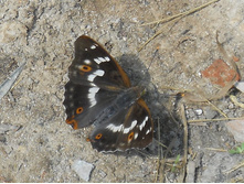 DSCN6875.JPG