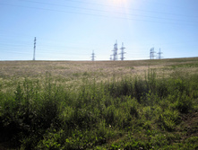 IMG_5091.JPG