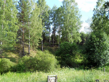 DSCN6890-1.JPG