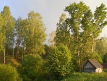 DSCN6239.JPG