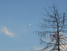 DSCN6261.JPG